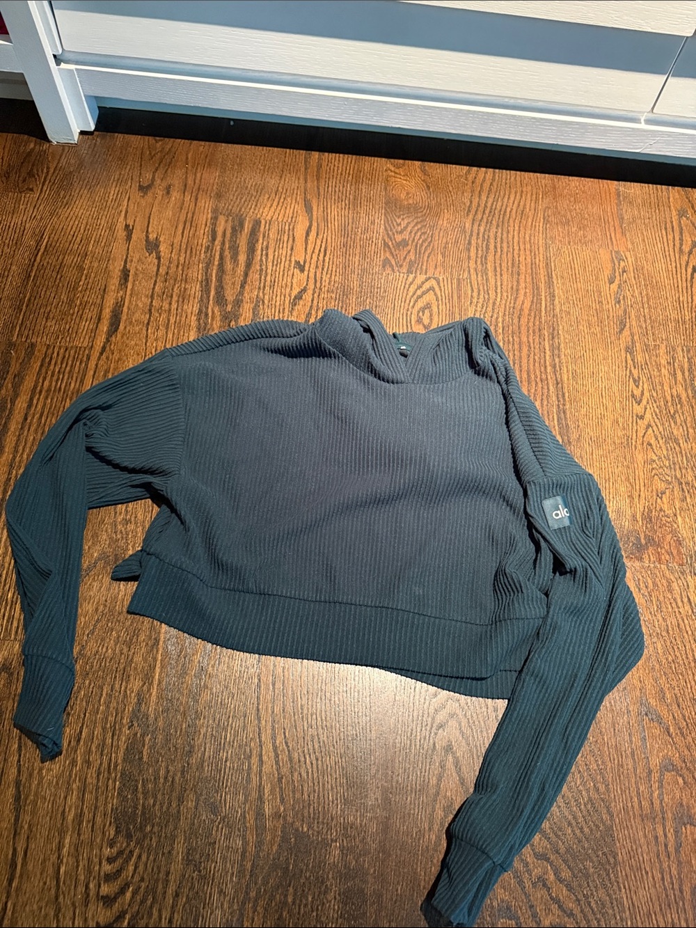 ALO Muse Hoodie - Dark Teal